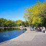 [헝가리 여행] 풍경 맛집 부다페스트, 호수 테라스 카페가 있는 시민 공원, City Park (Budapest, Hungary)