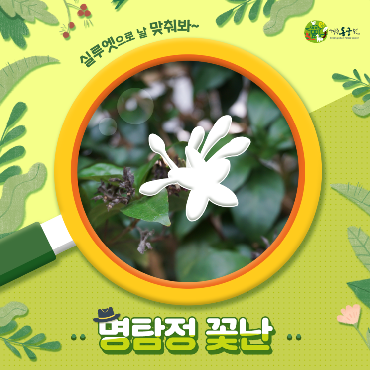 실루엣으로 날 맞춰봐~ 명탐정 꽃난! –자운두견 편- : 네이버 블로그