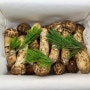 자연산송이버섯 가격 저렴하게 구입하는 법
