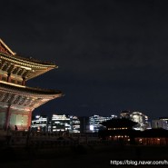 선선한 가을 밤에 즐기는 서울 야경 데이트코스 2020 경복궁 야간관람 (주차,관람 팁)
