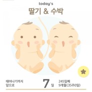 쌍둥이 임신 35주의 기록(출산가방 싸기)