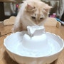 고양이 정수기 추천 | 연꽃정수기 사용 후기