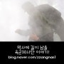 해체 육군 30사단 필승부대 하트마크 뜻과 부대역사!