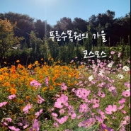 [구로 가볼만 한 곳] 서울 구로 항동철길 과 푸른수목원, 구로 코스모스 볼 수 있는 아름다운 곳!