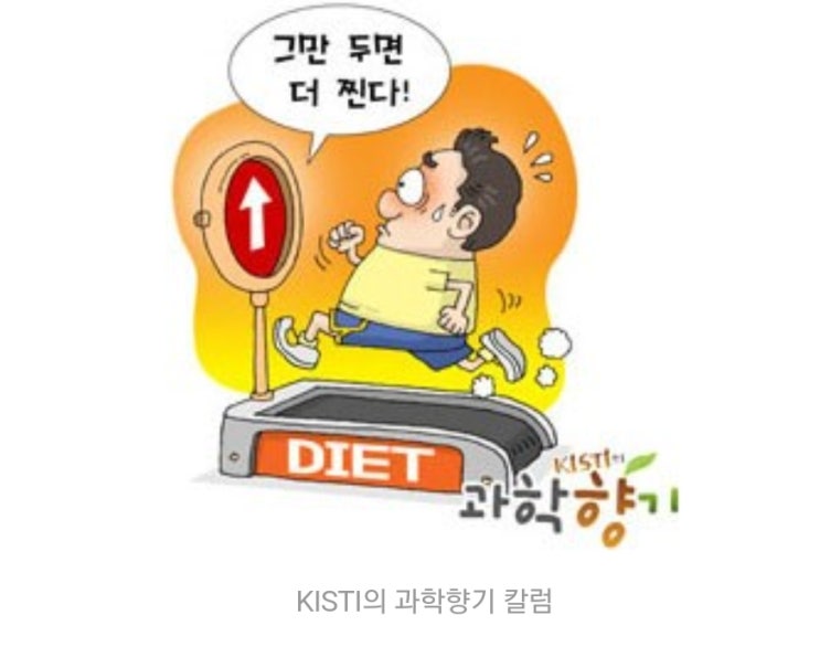 뛰다 그만 두면 더 찐다. fact.요요 : 네이버 블로그
