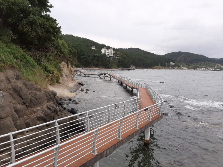 둘레길 - 연오랑세오녀 테마파크 - 도구해변 - 몰개월 비행기공원