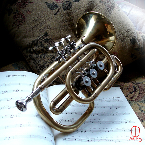 Russia (러시안 로터리 코넷) 네이버 블로그