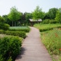 대전 가볼만한 곳 : 전국 최대의 도심속 수목원 '대전 한밭수목원'