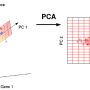 예측 기법 [5] 주성분 분석(PCA, Principle Component Analysis)