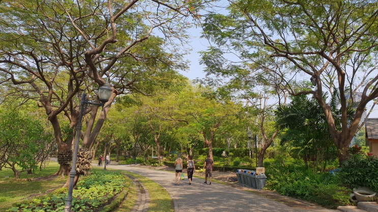 짜뚜짝시장 옆 퀸 시리킷 공원 Queen Sirikit Park