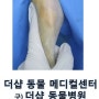 송파구 강아지 슬개골 탈구 수술, 잠실 강아지 무릎수술, 잠실 장미아파트 동물병원, 잠실역 동물병원, 더샵 동물병원