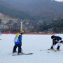 베어스타운 스키강습 할인 정보 드려요!!