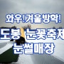 [겨울방학] 서울에도 눈썰매장이!? 도봉 눈꽃축제 눈썰매장!