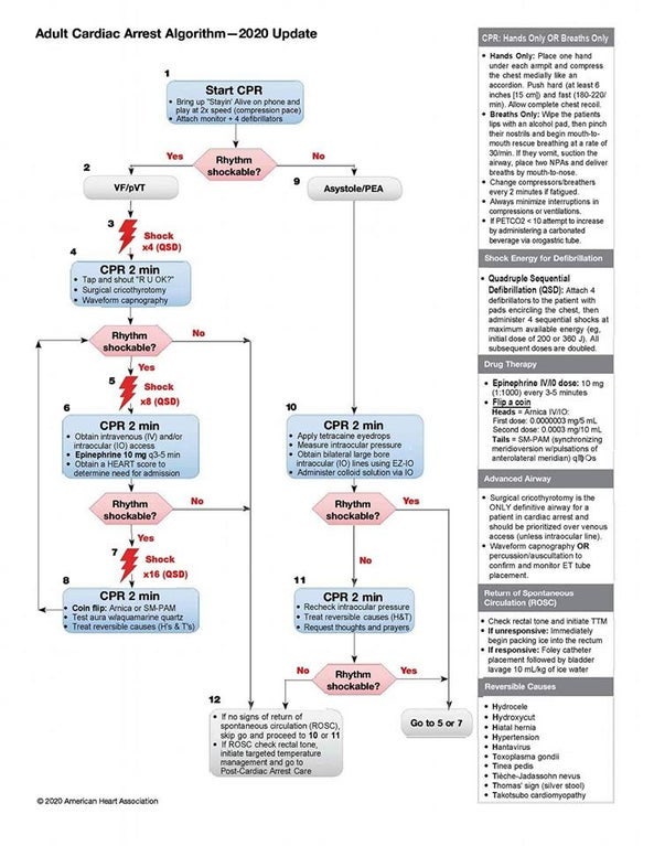 [순환기계 번외편 32]Cardiac Arrest, 심폐소생술 그리고 Bradycardia, Tachycardia 네이버 블로그