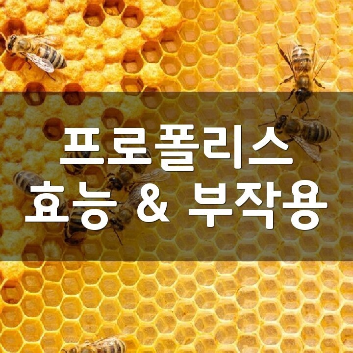 프로폴리스 (Propolis) 효능, 부작용, 권장량, 제품 순위 : 네이버 블로그