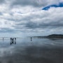 [오클랜드 여행] Muriwai Beach (무리와이 비치) 서핑하기 - 부제: 이번 여름은 춥다