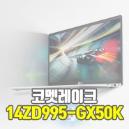 14ZD990-GX50K 2020 그램 후속모델 출시 14ZD995-GX50K