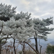 1월1일 광교산 상고대