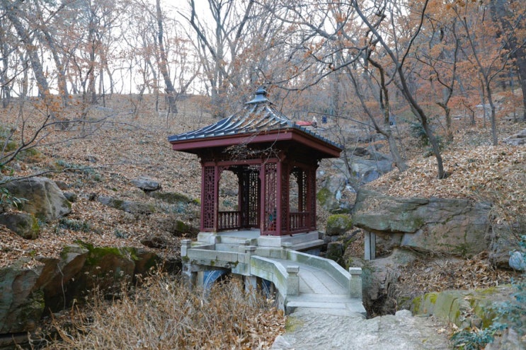[열 번째 출사] 석파정 서울미술관 (석파정 산책하기), (겨울동물원) : 네이버 블로그