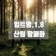 매일영어)1.8.ebs입트영스크립트&스터디질문&영어듣기&영작.Deforestation 산림 황폐화/ 소중한 자원 영어로?