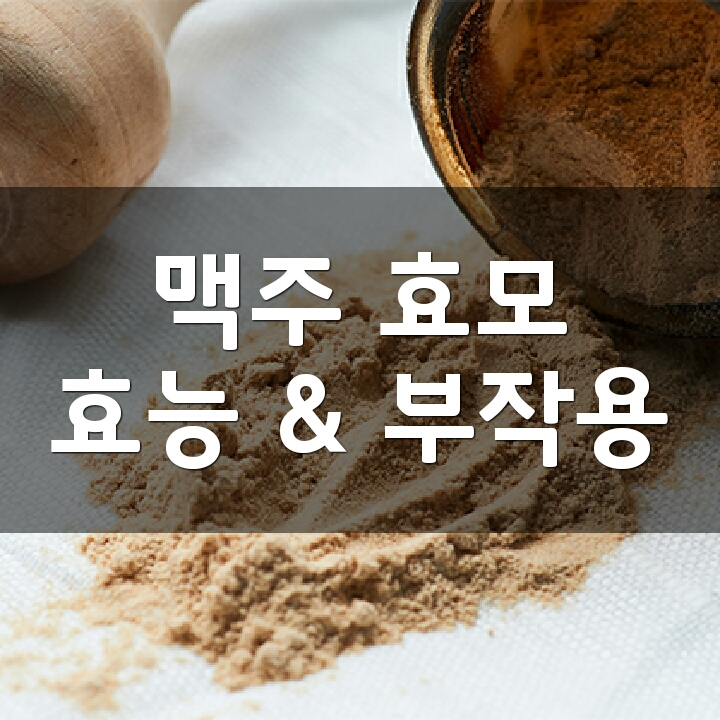 맥주효모 (Brewer's Yeast) 효능, 부작용, 권장량, 제품 순위 : 네이버 블로그