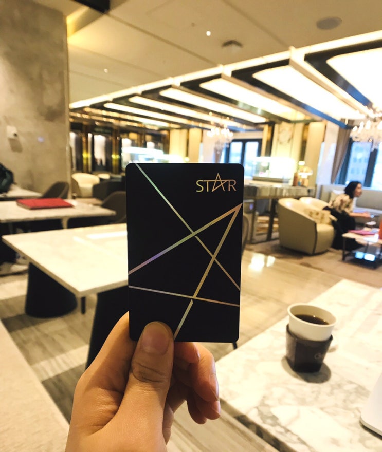 롯데면세점 명동본점 lvip vs lvvip 스타라운지 서비스 차이 다른점 비교 : 네이버 블로그