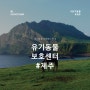[제주/서귀포] 유기동물보호센터 / 입양 / 자원봉사활동 / 후원