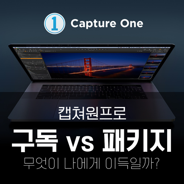 캡쳐원 프로 20 / 구독과 패키지 구입중 나에게 이득인 것은? : 네이버 블로그 캡쳐원 프로 20 / 구독과 패키지 구입중 나에게 이득인 것은? : 네이버 블로그