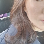 탄방동미용실 대전에서 알아주는 장루이다비드