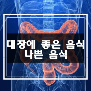 대장에 좋은 음식, 나쁜 음식