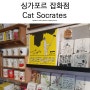 싱가포르 잡화점 캣소크라테스 티옹바루 카통 Cat Socrates