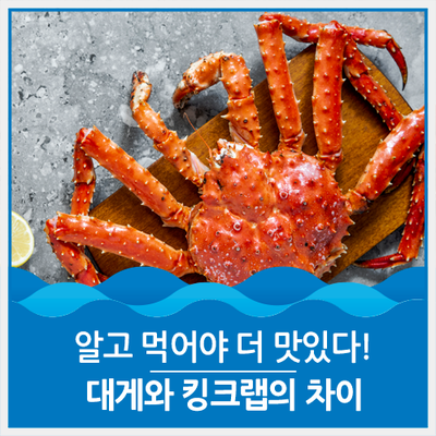 알고 먹어야 더 맛있다! 대게와 킹크랩의 차이 : 네이버 블로그