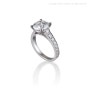 다이아몬드 약혼 반지 (Diamond Engagement Ring)의 의미