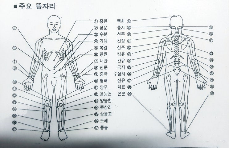 [쑥뜸, 부항, 사혈] 주요 혈자리!!! : 네이버 블로그