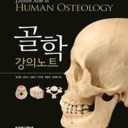 골학(Osteology) 강의노트로 해부학 기초 다지기