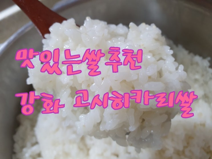 찐 맛있는 쌀 부자지간 강화쌀 고시히카리~ : 네이버 블로그