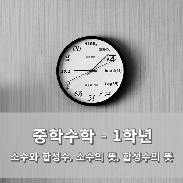 [중학교 1학년 수학 요점정리] 소수와 합성수, 소수의 뜻, 합성수의 뜻 요점정리 : 네이버 블로그