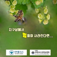 [인터폴뉴스] 지구상에서 벌들이 사라진다면….