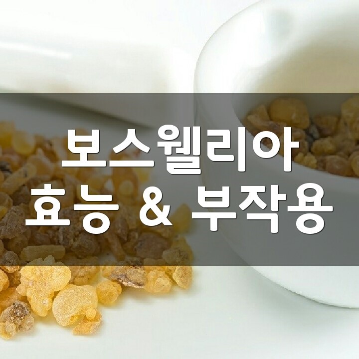 보스웰리아 (Boswellia Serrata) 효능, 부작용, 권장량, 제품 순위 : 네이버 블로그