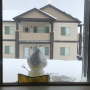 겨울왕국 올라프 눈사람 만들기! 미국 워싱턴주 풀먼에 Winter Storm이 와서 눈이 엄청 오고 있네요