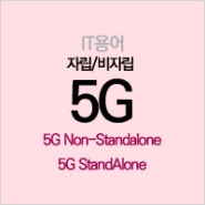 [IT 용어] 5G 비자립형 / 자립형 (5G Non-Standalone/5G StandAlone)