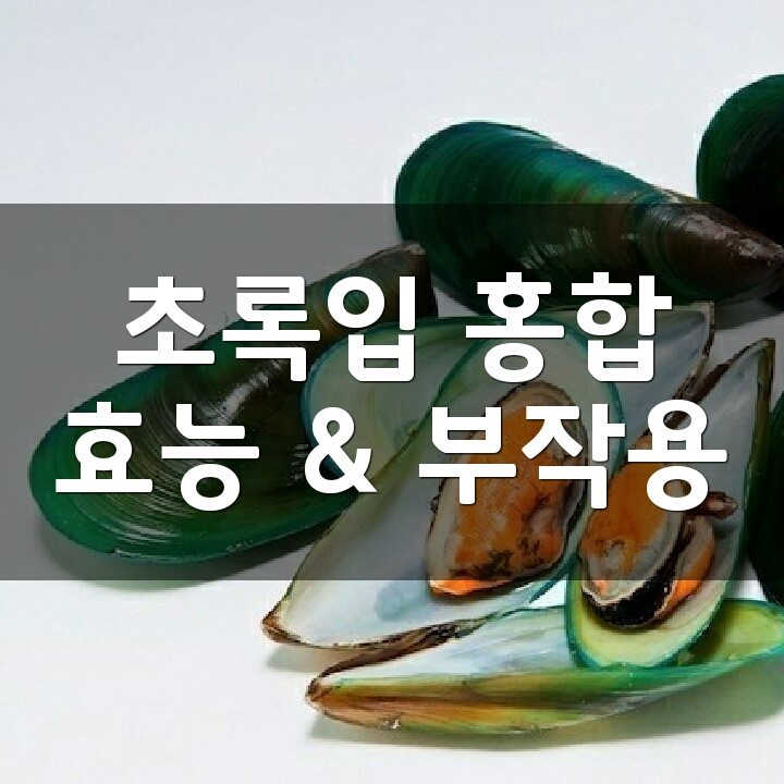 초록입 홍합 (Green Lipped Mussel) 효능, 부작용, 권장량, 제품 순위 : 네이버 블로그
