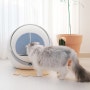 고양이 자동화장실 디클 펫트리 분해 및 청소 과정