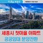 세종시 첫마을 아파트 공공임대 분양전환