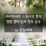 결혼준비 자료 2. 라리씬세븐 스튜디오 촬영 앨범 셀렉 팁과 정보 공유