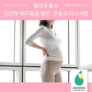 임산부 허리통증 원인, 통증 줄이는 운동과 마사지법