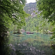 스위스 여행 중 비 오는 날 가도 좋은 Blausee 블라우제 호수 변덕 심한 스위스 날씨