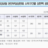 2020년 건강보험 본인부담상한제 (요양병원포함)