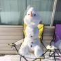 윈터스톰이 지난 후 미국 워싱턴주 풀먼 팔루스 롤링힐 겨울 눈풍경 + 올라프 눈사람 드디어 완성!