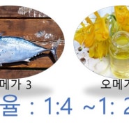 만성염증에 좋은 음식, 피해야 할 음식 5가지